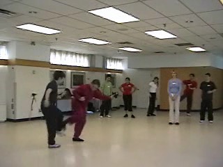12 Combat Sequences of Shaolin Tantui