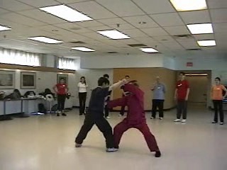 12 Combat Sequences of Shaolin Tantui