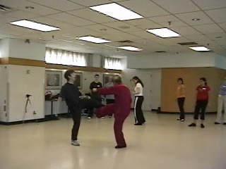 12 Combat Sequences of Shaolin Tantui