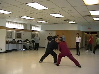 12 Combat Sequences of Shaolin Tantui