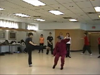 12 Combat Sequences of Shaolin Tantui