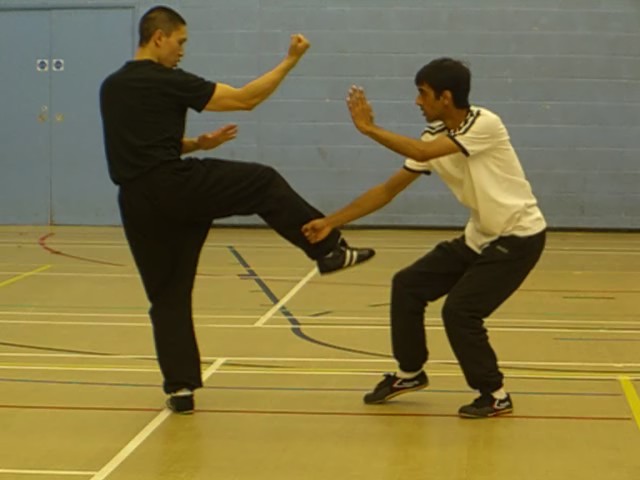 Portuguese Kungfu Show
