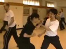Shaolin Tantui Sequences