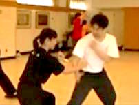 Shaolin Tantui Sequences