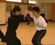 Shaolin Tantui Sequences