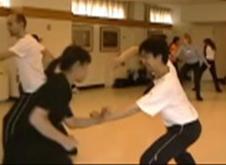 Shaolin Tantui Sequences