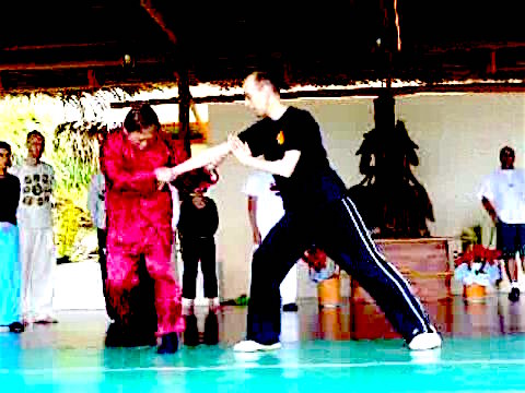 Wahnam Taijiquan