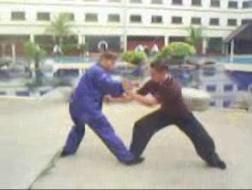 Taijiquan 12 Combat Sequences