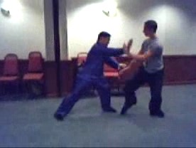 Taijiquan 12 Combat Sequences