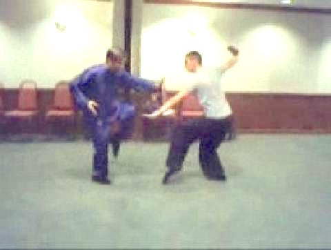 Taijiquan 12 Combat Sequences