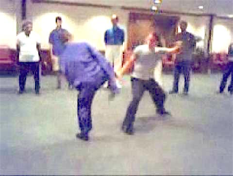 Taijiquan 12 Combat Sequences