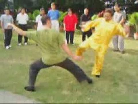 Taijiquan 12 Combat Sequences