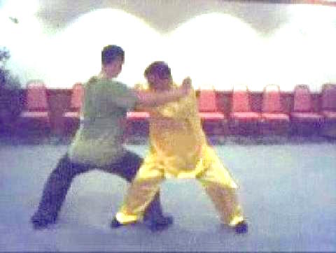 Taijiquan 12 Combat Sequences