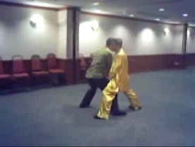 Taijiquan 12 Combat Sequences