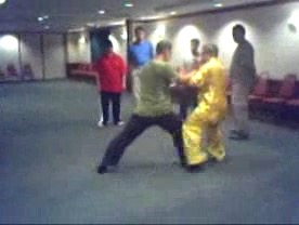 Taijiquan 12 Combat Sequences