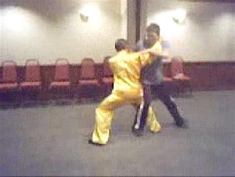 Taijiquan 12 Combat Sequences