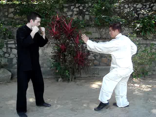 Muay Thai Counters