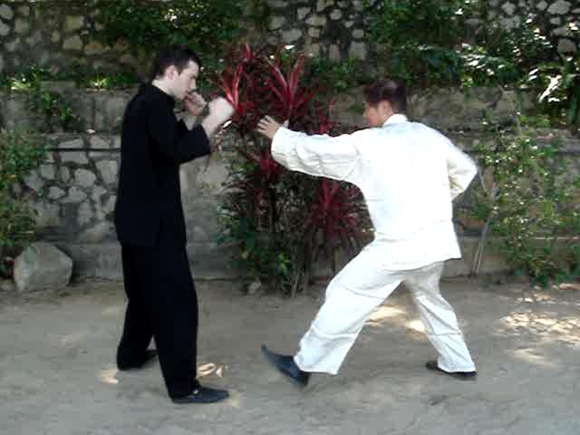 Muay Thai Counters
