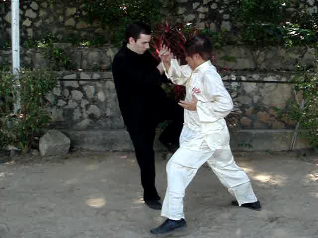 Muay Thai Counters