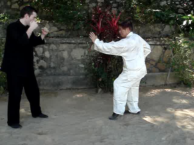 Muay Thai Counters