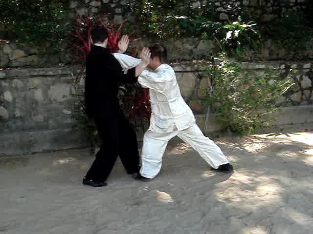 Muay Thai Counters