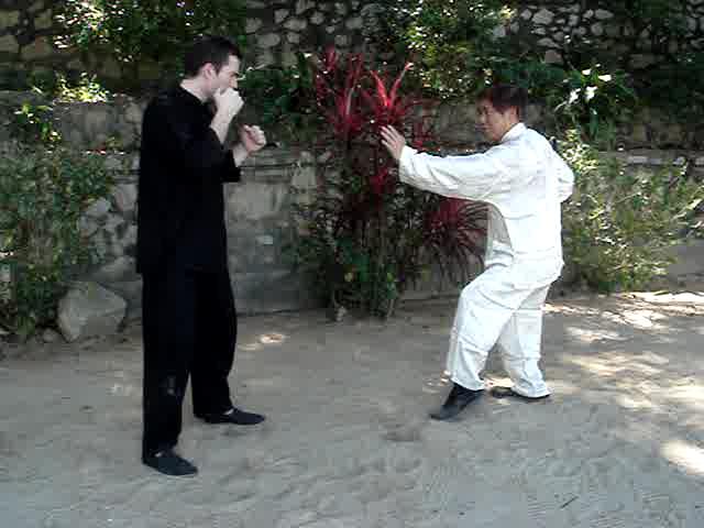 Muay Thai Counters