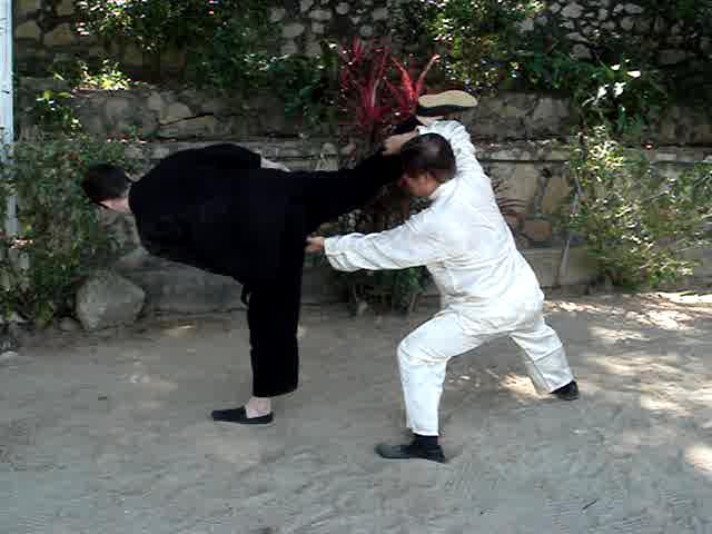 Muay Thai Counters