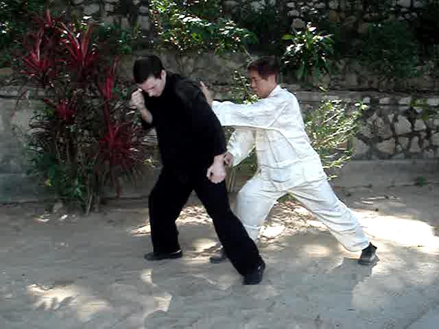 Muay Thai Counters