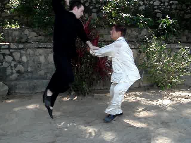 Muay Thai Counters