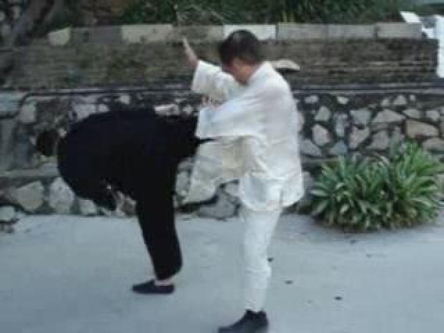 Muay Thai Counters