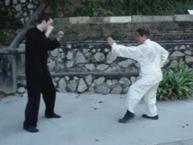Muay Thai Counters