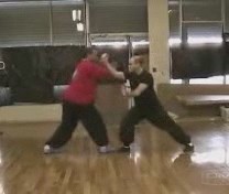 free sparring