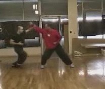 free sparring