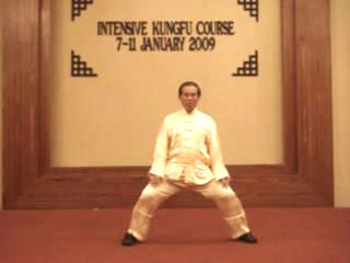 Shaolin Kungfu January 2009