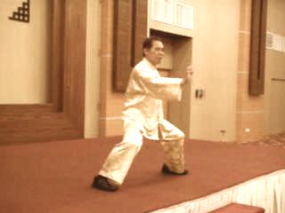 Shaolin Kungfu January 2009