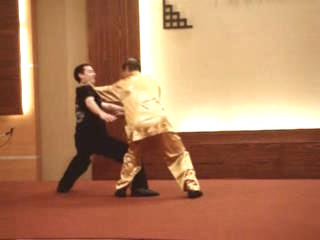 Shaolin Kungfu