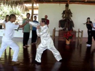 Combat Sequence 2 &mdash; Kicking