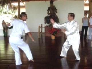 Combat Sequence 4 &mdash; Chin-Na