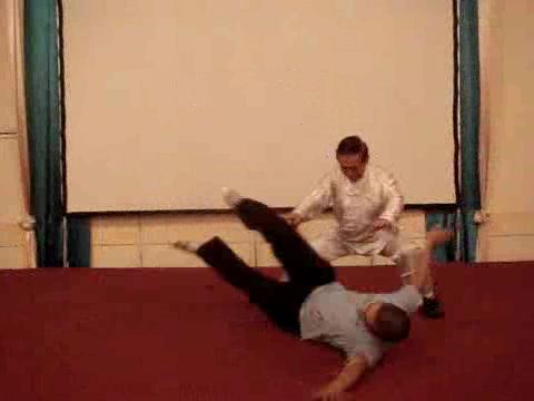 Wahnam Taijiquan