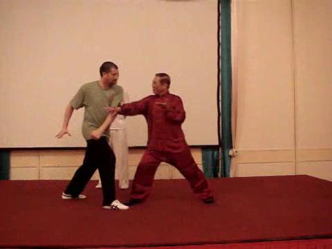 Wahnam Taijiquan