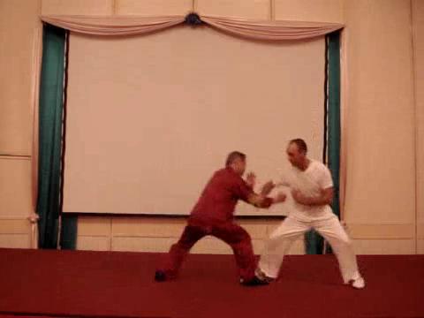Taijiquan 12 Combat Sequences