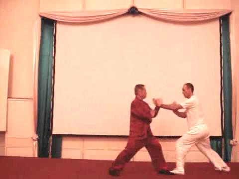 Taijiquan 12 Combat Sequences
