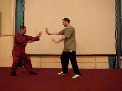 Taijiquan 12 Combat Sequences