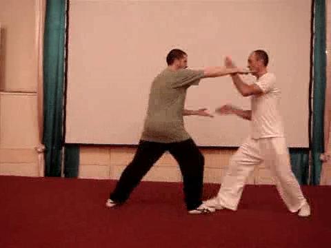 Wahnam Taijiquan