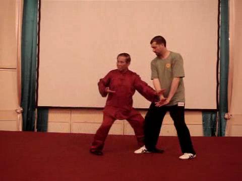 Taijiquan 12 Combat Sequences