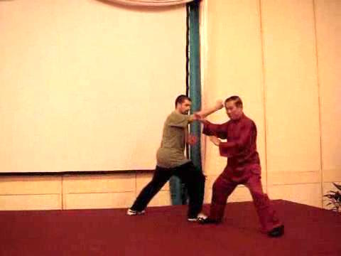 Taijiquan 12 Combat Sequences