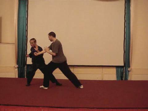 Taijiquan 12 Combat Sequences