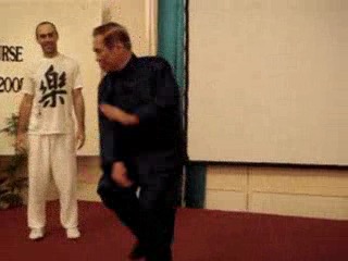 Taijiquan 12 Combat Sequences