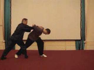 Wahnam Taijiquan