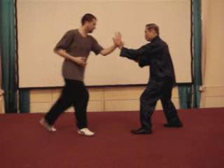 Taijiquan 12 Combat Sequences